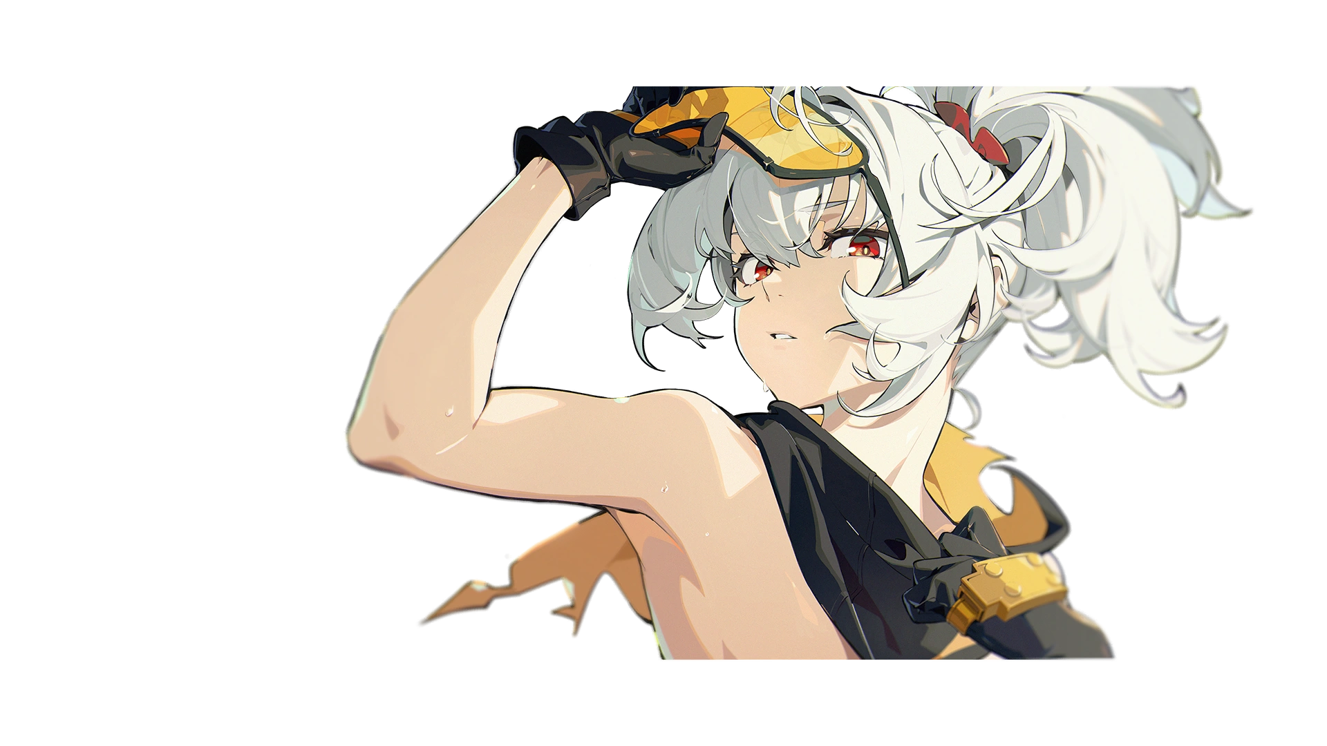11호